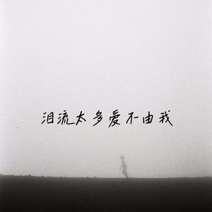泪流太多爱不由我封面