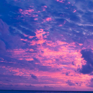 Froze Up (Prod. Jadon Carew x Heyitsshark)