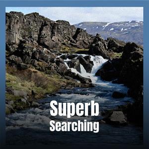 Superb Searching