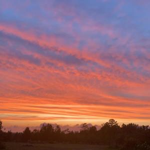 Dont Wanna Die Young (Explicit)