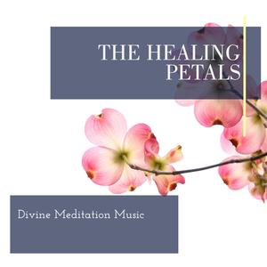 The Healing Petals - Divine Meditation Music