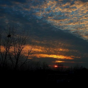 今天也想见到你