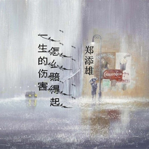 一生的伤害怎么赔得起