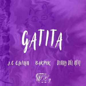 GATITA (feat. DVNNY DEL REVL) [Explicit]