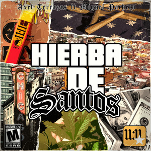 Hierba De Santos