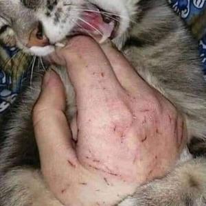 Stereo (feat. Execrate) (Explicit)