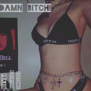 Damn ***** (feat. Slevpy808 & Sxstemic) (Explicit)