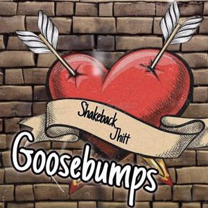 Goosebumps (Explicit)