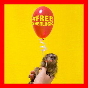 #Freesherlock(feat. Wav3pop)