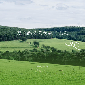 想你的风又吹到了山东 (伴奏)