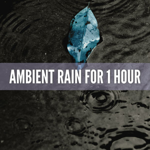 Ambient Rain for 1 Hour