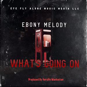 What's Going On (feat. Ebony Melody)