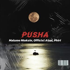 Pusha (feat. Malume Ntokzin & Officixl AizeL) (Explicit)