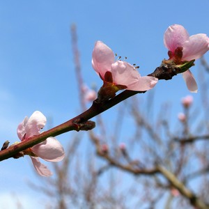 二十四节气·冬至-瑶光