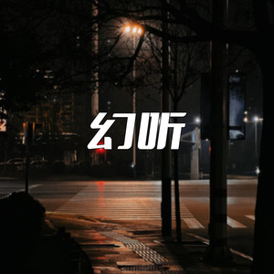 幻听(夜色多温柔)