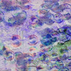 Danses Imaginaires no. 4 - Funèbre