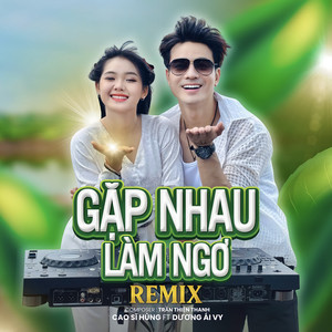 Gặp Nhau Làm Ngơ Remix