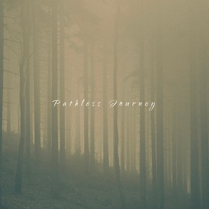 Pathless Journey