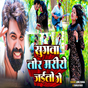 Sugwa Tor Mariye Jaito Ge