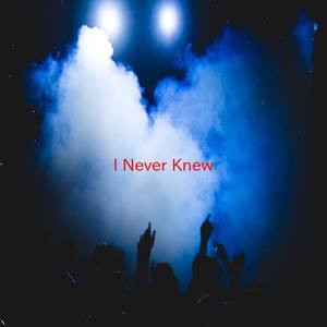 I Never Knew (Instrumental version originally performed by Gloria Gaynor)