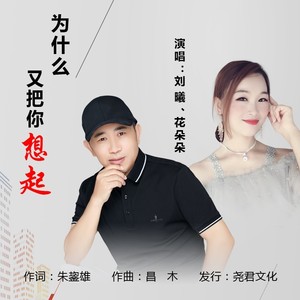 为什么又把你想起