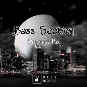 Bass Section
