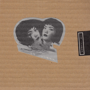 王菲专辑《一人分饰两角》封面图片
