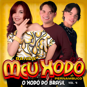 O Xodó Do Brasil, Vol. 4
