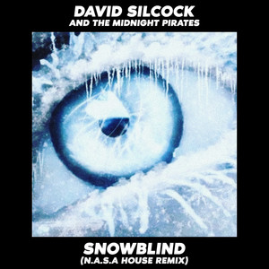 Snowblind (N.A.S.A House Remix)