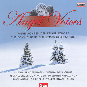 Angel Voices - The Boys' Choirs Christmas Celebration