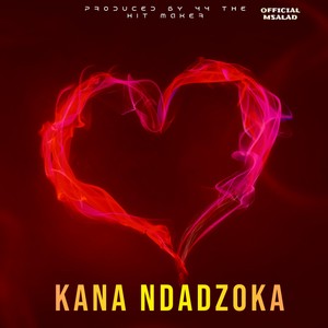 Kana Ndadzoka