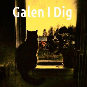 Galen I Dig