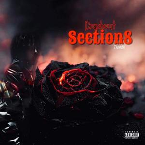 Section 8 (Explicit)