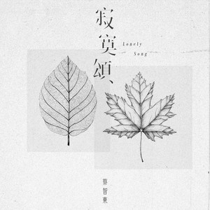 寂寞颂 (伴奏)