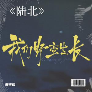 陆北-短剧《我们野蛮生长》主题曲-郭宇欣