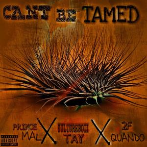 Cant Be Tamed (feat. Prince Mal & Kultureboii Tay) [Explicit]