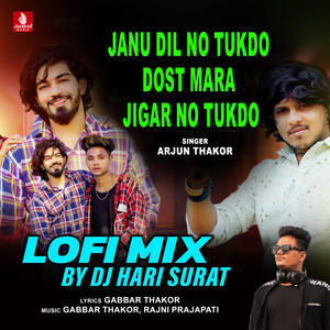 Janu Dil No Tukdo Dost Mara Jigar No Tukdo (Lofi Mix)