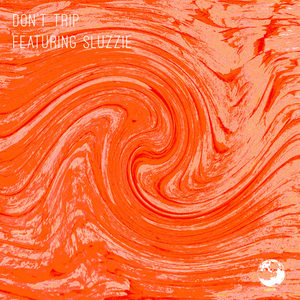 Don't Trip (Explicit)