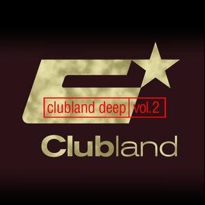 Promised Land (Boogie Pimps Funk N Vibe Remix)