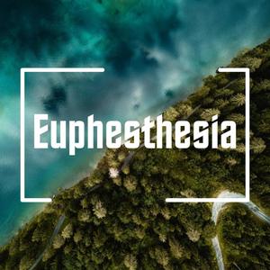 Evolution (Euphesthesia's Club Mix)