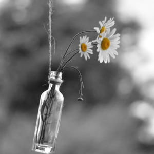 Hatrımı sorsaydın (Explicit)