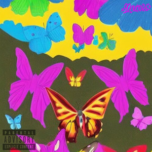 Metamorphosis (Explicit)