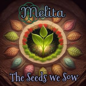 The Seeds we Sow