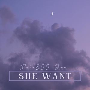 She Want (Explicit)