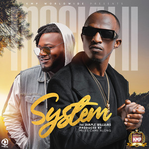 System (feat. Dimple Williams)