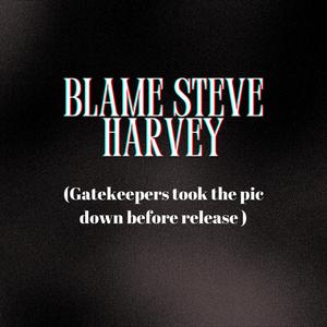 Blame Steve Harvey (feat. 2wIIn Kingz & Supernalist) (Explicit)