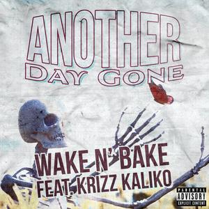 Another Day Gone (feat. Krizz Kaliko) (Explicit)
