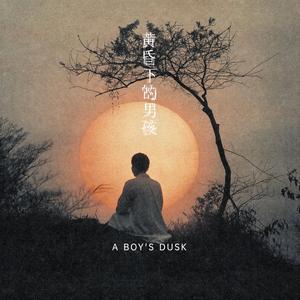 黄昏下的男孩A boy's dusk (汤海青视觉✖Lagoon Tour联名)