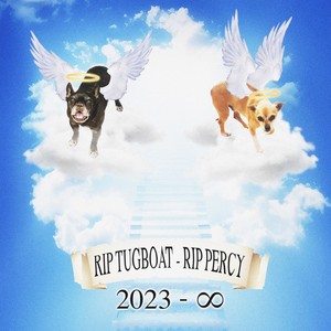 they just put my dog down (RIP TUGBOAT RIP PERCY) [Explicit]