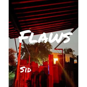 Flaws (Explicit)